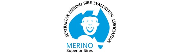 Merino Superior Sires