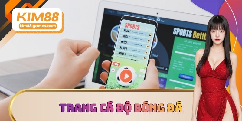 Trang cá độ bóng đá