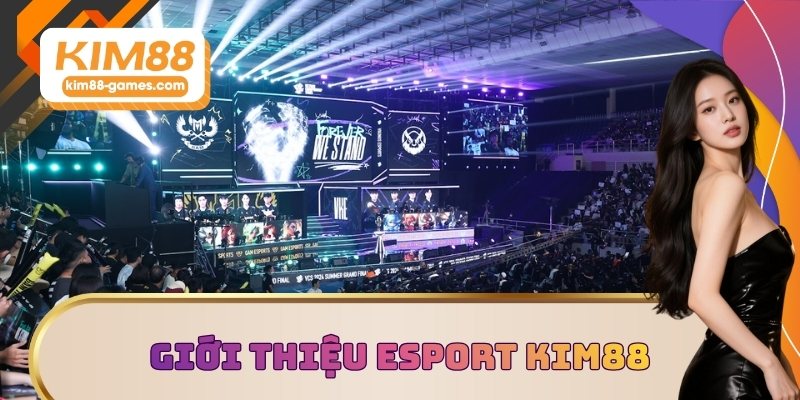 Giới thiệu Esport KIM88